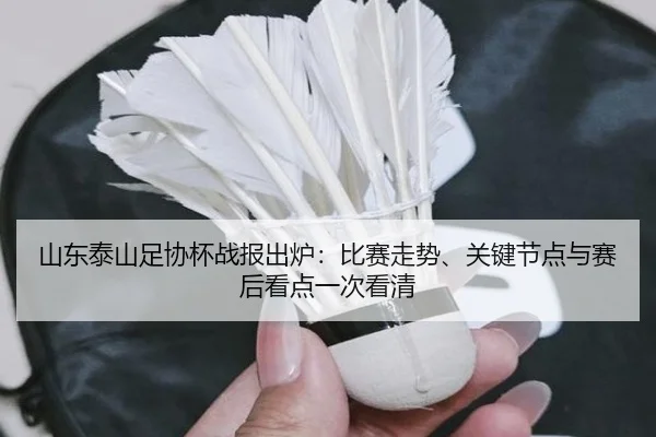 山东泰山足协杯战报出炉：比赛走势、关键节点与赛后看点一次看清